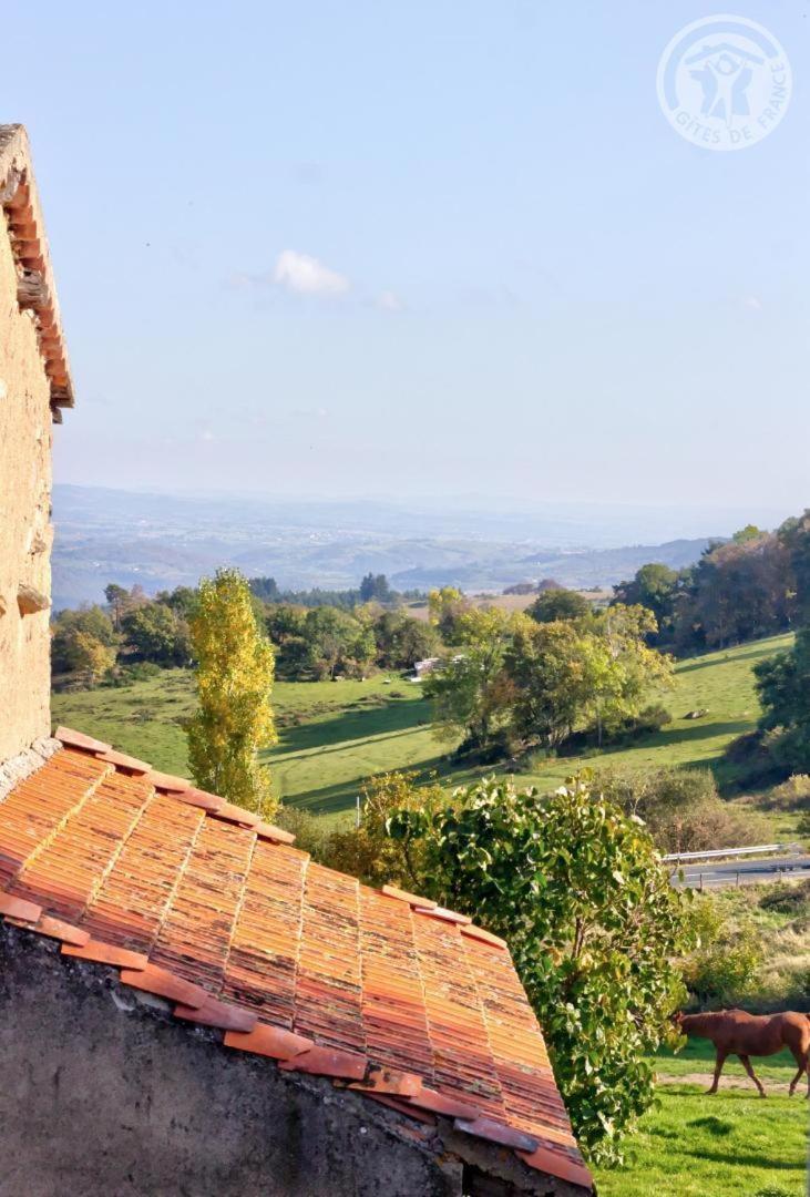 مبيت وإفطار Villemontais La Ferme Des Galoches المظهر الخارجي الصورة