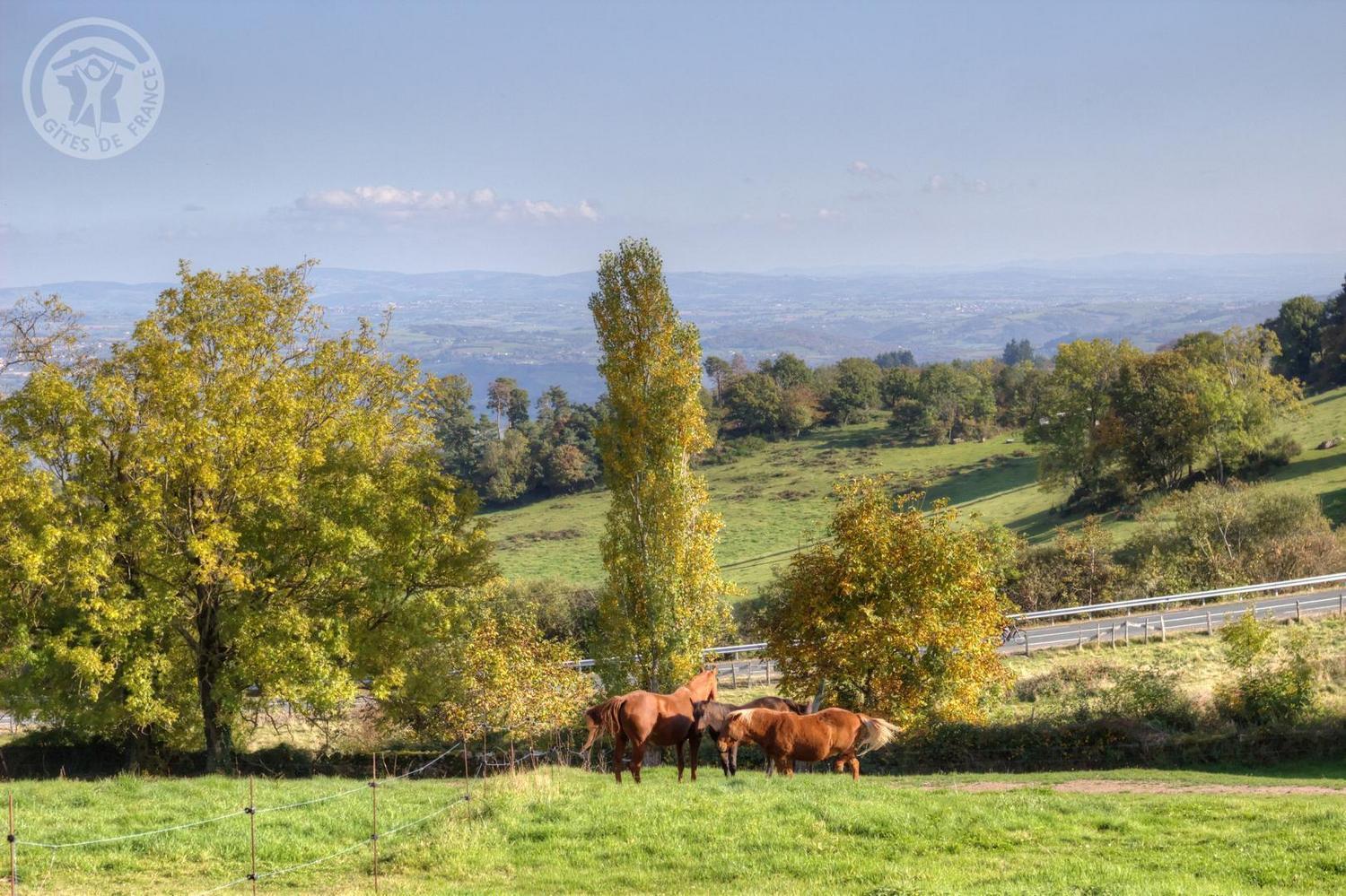 مبيت وإفطار Villemontais La Ferme Des Galoches المظهر الخارجي الصورة